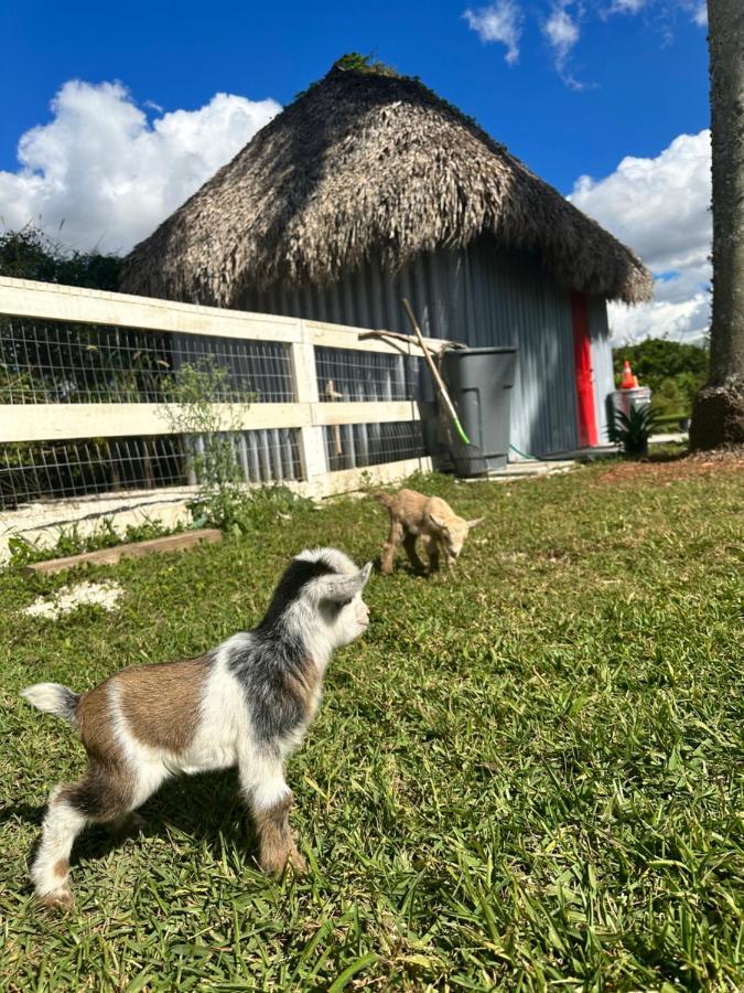 Arritola B And B Ranch 霍姆斯戴德 外观 照片